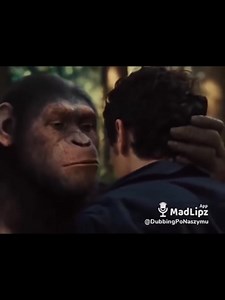 318K views · 3.5K reactions | Dubbing Po Naszymu - Cajt Maszina- Dzisioj Sobota! Co jakiś czas: Cajt Maszina dlŏ nowych obserwujących I doświadczonych fanów... na przypomnienie  Pszajemy Wom Papynka I Papyn  | Dubbing Po Naszymu | Facebook