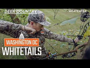 Washington D.C. Whitetails | Deer Country