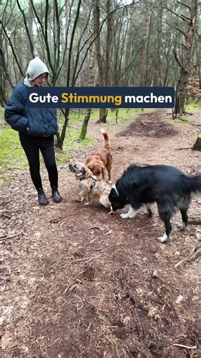 Begegnung mit fremdem Hund - So geht‘s entspannt!
