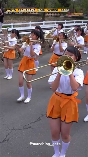 marching_gato | KYOTO TACHIBANA HIGH SCHOOL BAND-JAPAN-2018,THEME: ALADDIN #marchingbands #マーチングバンド #japaneseschool #marchingband #マーチングバンド部 #japaneseband... | Instagram
