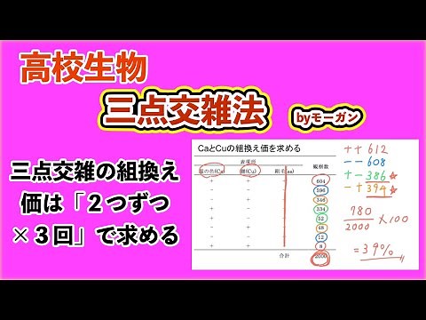 高校生物「三点交雑法」