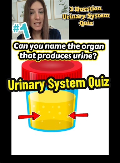#anatomy #anatomyandphysiology #TikTokLearningCampaign #EduTok #scienceexplained