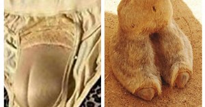 Camel toe knickers are a thing now - would you try bizarre new trend?