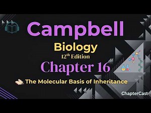 Molecular Basis of Inheritance Explained | DNA, Genes & Chromosomes