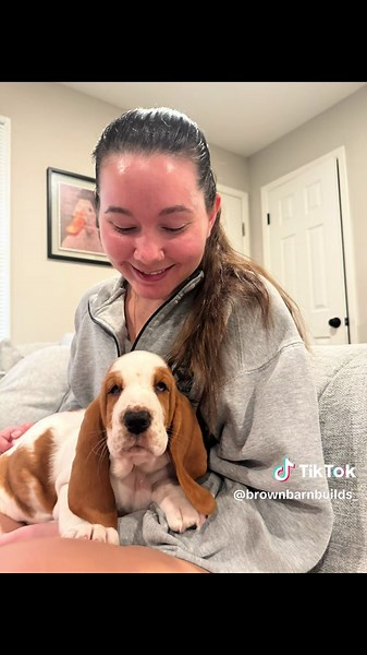 Basset Hound Birthday Surprise for My Girlfriend