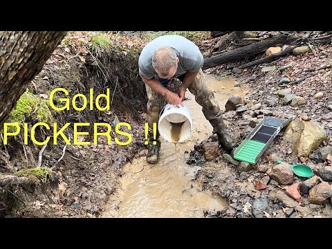 Finding more GOLD PICKERS!!!