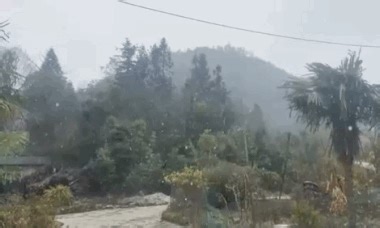 Snow returns to northern Vietnam for first time since 2022 - VnExpress International