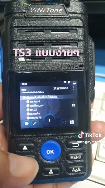 ทำความรู้จัก TS3 และ Mumble อย่างง่ายๆ