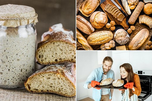 The Difference Between Whole Wheat And White Bread