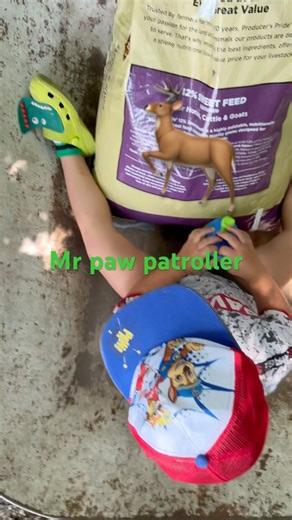 Finding our 2025 Indiana target deer with sweet feed!