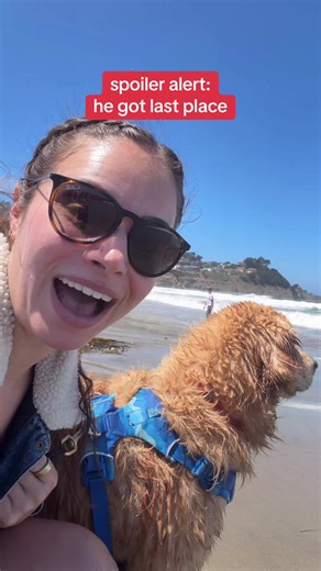 Fetch Challenge: He's First in My Heart, But Got Last Place!