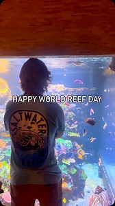Happy World Reef Day! 🪸 At PNW Custom, we’re passionate about bringing the beauty of coral reefs into your home through our high quality desktop aquariums. From the tiny 40oz Micro Tank to the 5 Gallon Small-In-One XL, these small tanks spark curiosity, inspire learning, and grow a lifelong love for coral keeping and reef conservation. Let’s keep our oceans healthy and our hobby growing! | PNW Custom