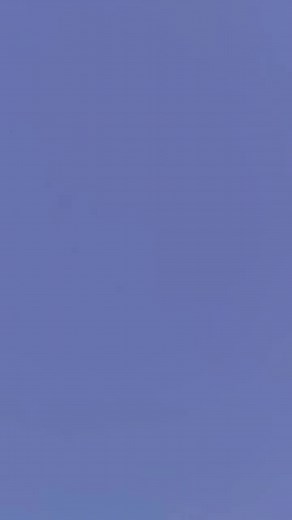 Cute love 💕 😘 #reelsfb #viralreels #love #couple #cute #kiss #romance #copal | cute shivani