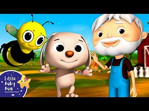 BINGO Song! Learn Letters | Little Baby Bum - Nursery Rhymes for Kids | Baby Song 123
