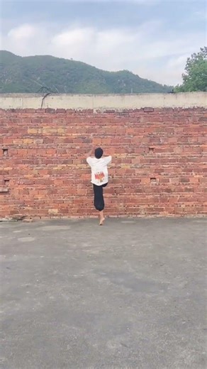 Master's Gravity-Defying Leap: Kung Fu Stunt Mastery