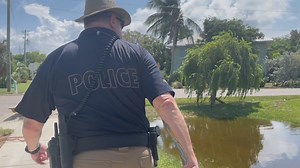 'We lucked out': After Idalia flooding, Anna Maria Island residents are thankful it wasn't worse