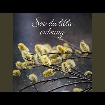 Sov du lilla videung (New Edition)