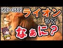 【SCP解説】SCP-4689  『ライオンってなぁに？』【ゆっくり塩】