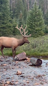 189K views · 4.6K reactions | I pulled into my parking spot right at...