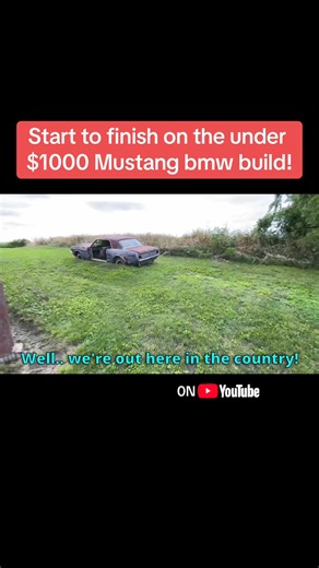 12K views · 203 reactions | Start to finish build vid of the under $1000 bmw mustang, on YouTube now! | CaseysCustoms | Facebook