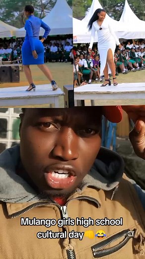 Mola💧Mist (@molamist)’s videos with Space Elevator Construction - Perfect, so dystopian