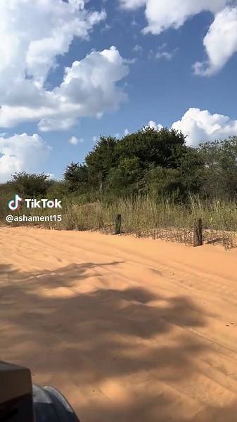 Exploring Oklahoma's Sand Dunes on ATV Adventures