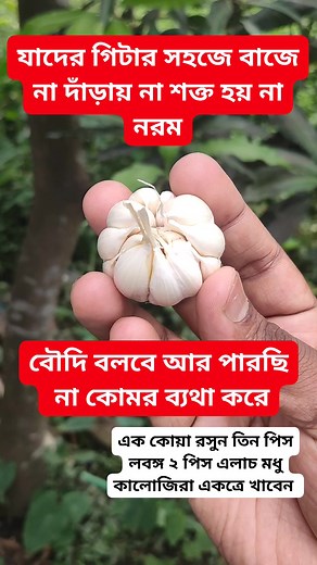 163K views · 298 reactions | এক কোয়া রসুন তিন পিস লবঙ্গ ২ পিস এলাচ মধু কালোজিরা সেবনে #topupdatenews #everyone #healthtips #popularhealthnews #trendingnow #গিটার #trendingreels #HealthNewsUpdates | Update Health News | Facebook