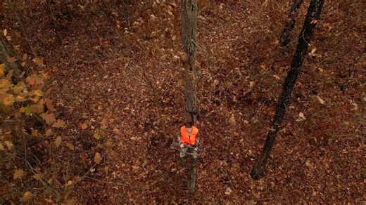 Whether you’re brand new to hunting, returning after a long break or introducing a young hunter to the tradition, our Hunter Education Program is designed to make hunting safe, accessible and welcoming for all! 🏹🦺🦌 | West Virginia Natural Resources Police