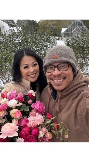 How to prepare your roses for the freeze 🥶 If your roses are potted and the containers aren’t too heavy, pull them indoor until temps are above 40 degrees AND SUNNY - pull them out to bask in the sun for few hours then place back indoor until freeze is over. No need to cover planted roses. Make sure to mulch, if possible, and water deeply and thoroughly to ensure moisture and warmth for the rose roots. Remember, roses are HARDY and they love some chill hours. It actually makes them even stronge