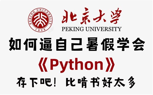 【全568集】禁止自学走弯路！北大大佬198小时讲完的Python零基础全套教程，通俗易懂，2024最新版，0基础小白快速进阶编程大神！