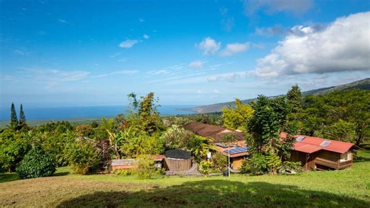 7.5-Acre Sustainable Organic Farm With 2 Homes and Multiple Dwellings in South Kona - Hawaii Real Estate Market & Trends | Hawaii Life