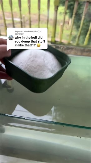 10 Million Sea Monkeys: A Fishing Adventure at Shatterford Lakes