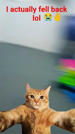 i actually fell back at the end