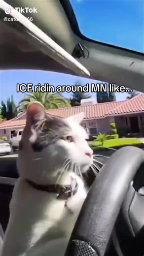 … they scared to come outsiiiiidddee… #iamTOMwick