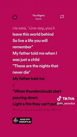 The Nights Song Lyrics