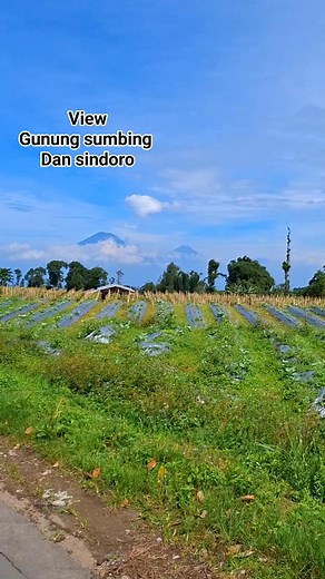 Terlihat lautan awan disekitar gunung sumbing dan sindoro.. #fypreel #fyp #alam #gunung #magelang @sorotan | Tulus Rohmad
