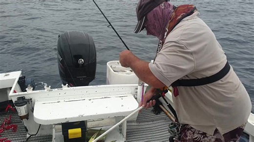 21K views · 60 reactions | MAHI! I'm hearing they're off Sydney already: | Downrigger Shop | Facebook