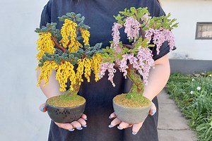 READY TO SHIP Beaded Artificial Yellow Wisteria Tree (laburnum) Realistic Bonsai - Miniature Tree - Beaded Sculpture - Blooming Bonsai Tree - Etsy UK