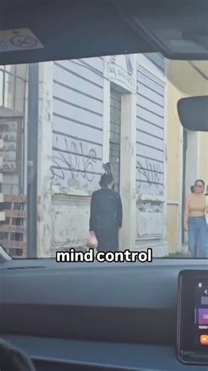 CL GATOS 🐈‍⬛ 🐈🐱😺😼😾😸😽🙀😻 on Instagram: "hahaha conhece esse video? nos mande via DM os créditos vlw! siga @clgatos"