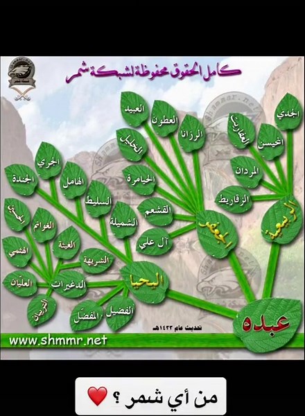 شجرة قبيلة شمر: استكشاف أصول قبيلة شمر