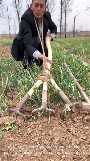 The Triple Rake Onion Harvester