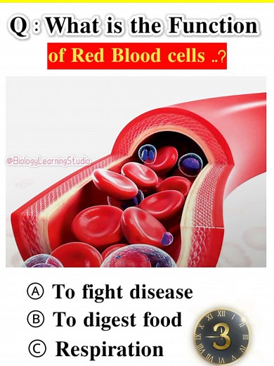 Function of Red Blood Cells (RBCs) #blood #cell #humanbody #medical #bio #nmdcat #doctor #nurse #fyp #foryou @#foryou @tiktok creators