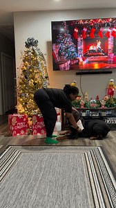 Behind the scenes of King’s photo shoot! #petsoftiktok #petsofinstagram #dog #rottweiler #dramaking | Gara Bill John