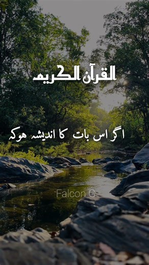 Quran Surah Recitation ❤️ #love #quran #quranforeever #quranrecitation #motivation