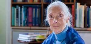 Dr Jane Goodall on the environment: "My greatest hope is our young people"