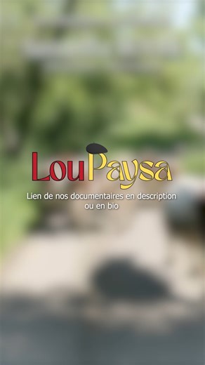 Samantha Boyer 🥞/ Diététicienne du sport on Instagram: "La vérité sur le Bio... 🌿 ⚠️ Ce Samedi 7 Février ⚠️ Notre dernier documentaire vous présente Emma, @mama_ochaud jeune boulangère Pyrénéenne. Tu trouveras son bon pain à @fermedelaclique et les coulisse de son travail Bio mais pas bio sur notre chaîne YouTube, Lou Paysa. Le lien de la vidéo se trouve en accès direct dans ma biographie. Et toi le pain, tu l'aimes comment ?🥖 Si tu souhaites aider les agriculteurs à faire entendre leur voix 