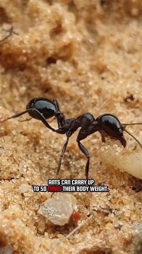 5 Facts about Biology you didn't know