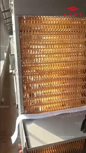 🐓 A Type Layer Cage System for 20,000 Laying Hens