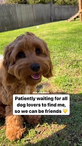 107K views · 8K reactions | Can you find me, please? 凉 #fblifestyle | this.dood.otis | Facebook