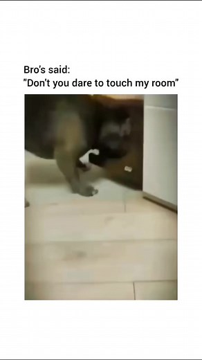 #funnyreels #funnyvideos | Ide Page